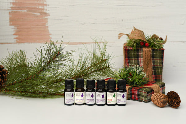 Holiday Scents Gift Set Lineup around holiday packaging