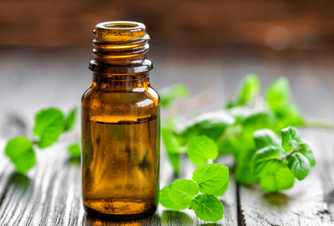 peppermint essential oil