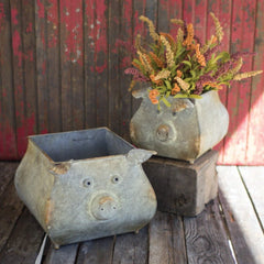 Galvanized Pig Planters (Set-2)