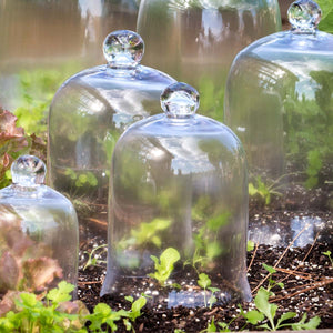 Glass Bell Cloches-Iron Accents