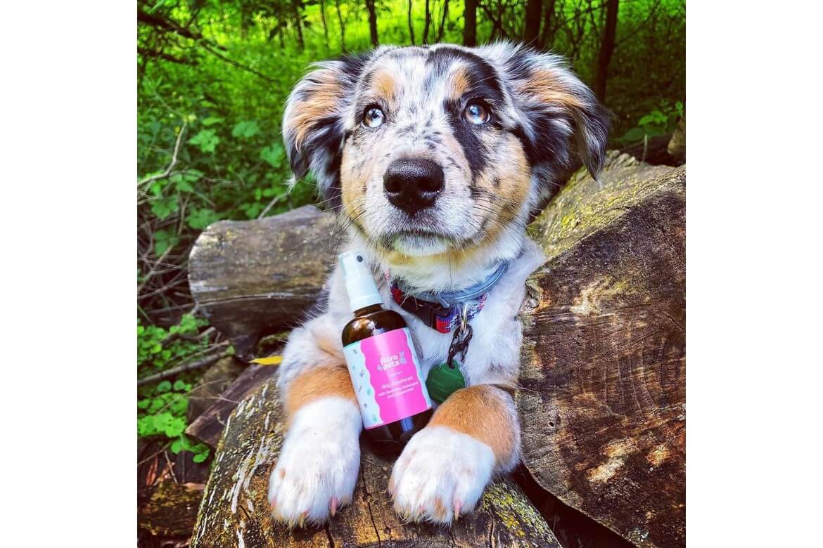Deodorant for dogs with sensitive skin