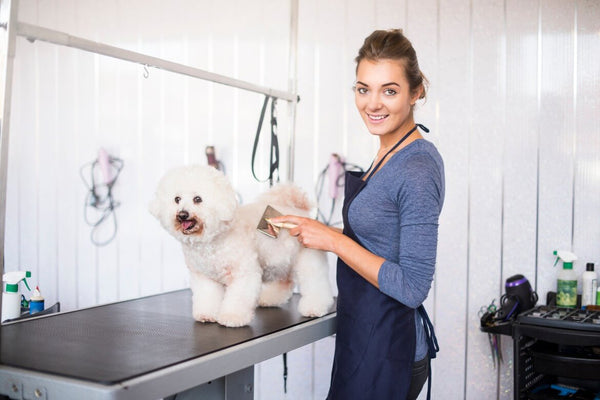 Dog groomer using natural dog deodorant