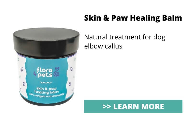 Skin healing balm for dog elbow calluss treatment