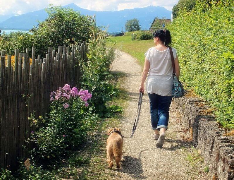 woman walking with dog, dog walk