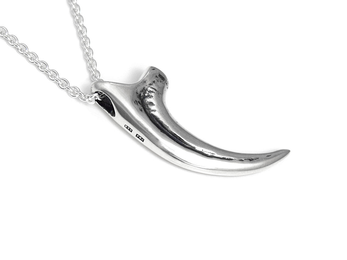Velociraptor Claw Necklace, Dinosaur Jewelry in Sterling Silver – Farjil