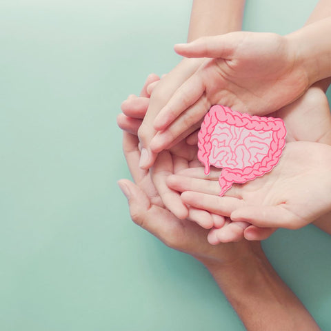 Hands holding a cutout of a stomach image.