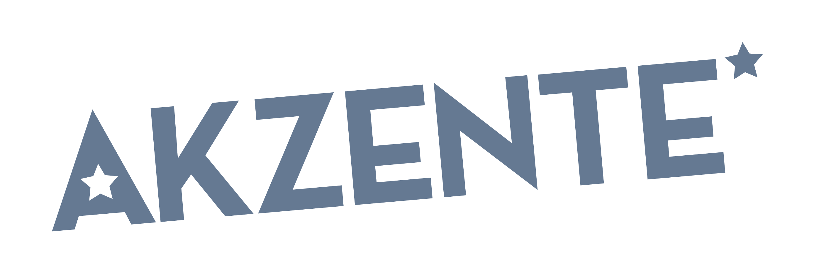 Logo Akzente