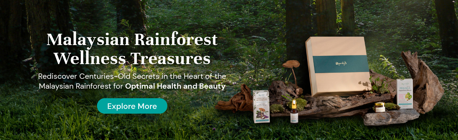 Rainforest Wellness Bundle-Website Banner-PurelyB-Desktop.jpg__PID:5a19644c-0f55-425d-9251-dcf8cc893988