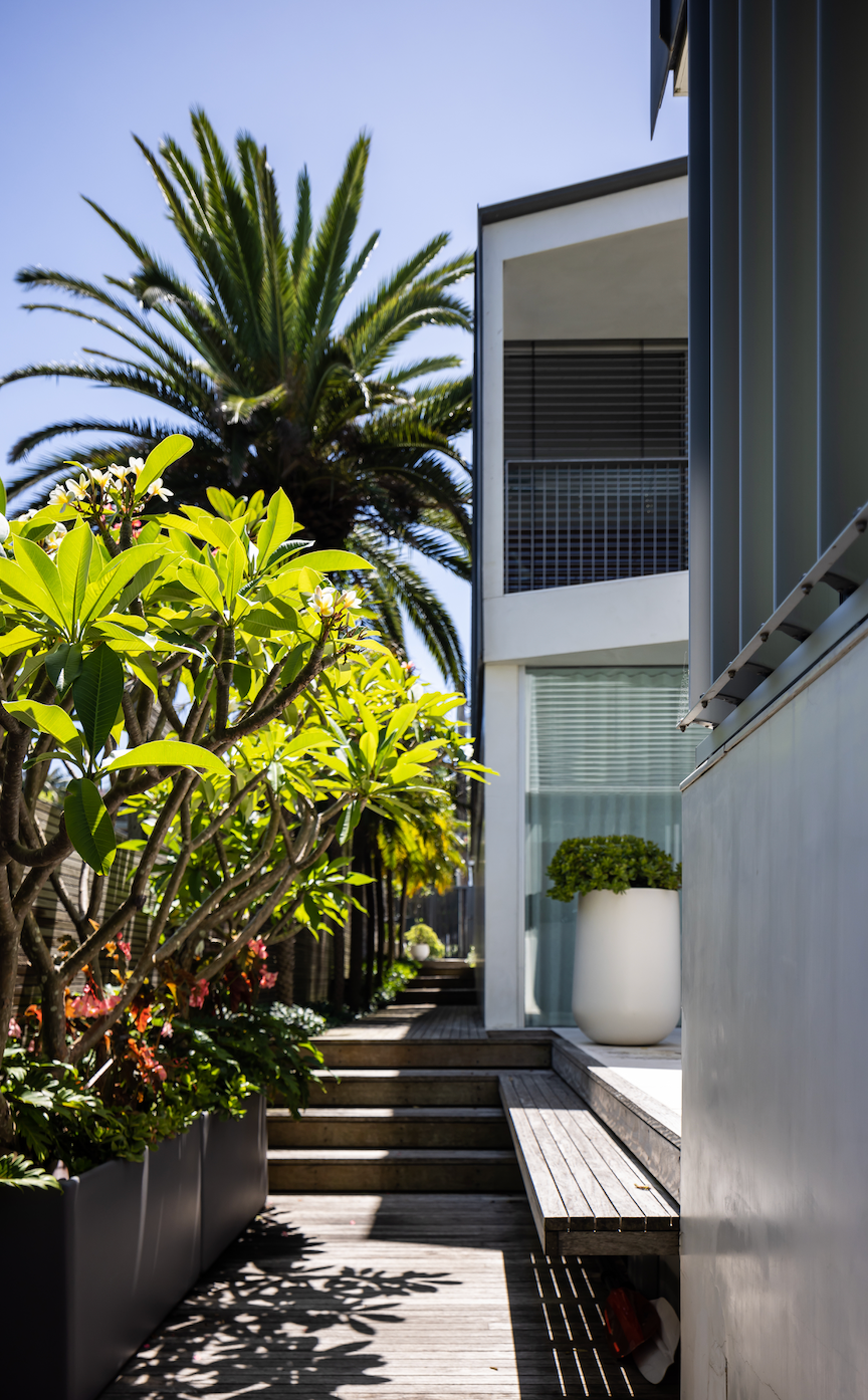 Court yard garden