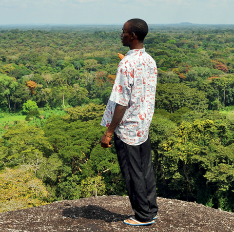 Man standing and looking at the forrest