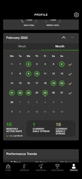 Profile Workout History Calendar View