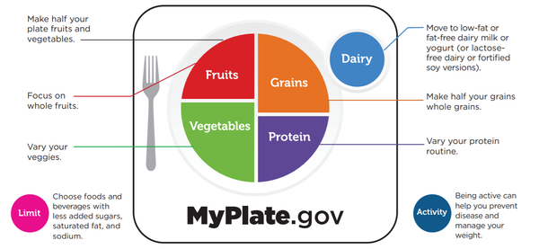 MyPlate 5 Food Groups Diagram