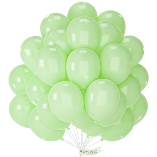 Mint Green Twist & Shape Balloons - Pack of 20