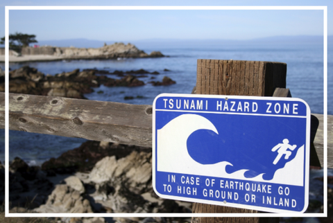 CERV Tsunami Preparedness Disaster Sign Ocean Beach