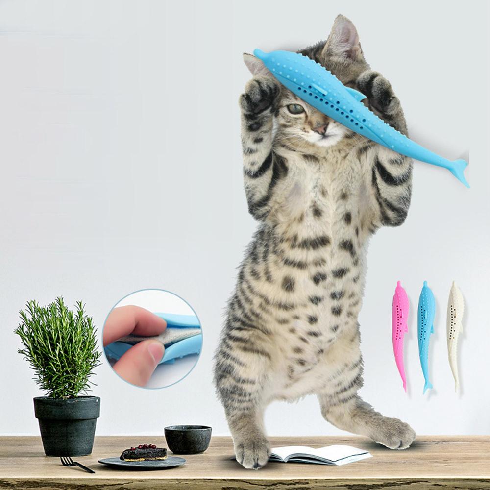 interactive cat toothbrush