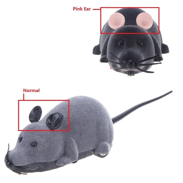 remote control mouse for cats