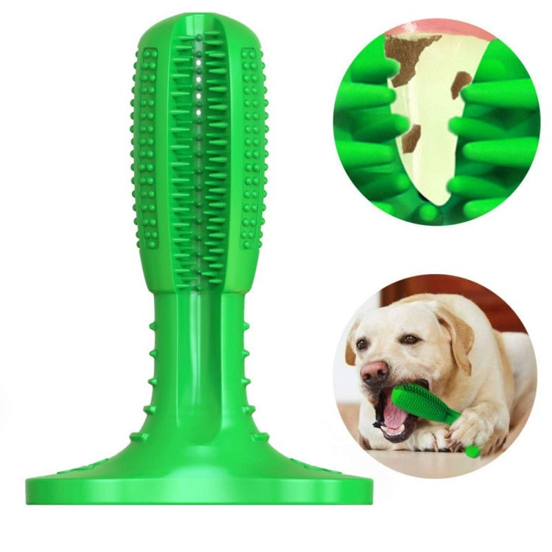 dog stick toy