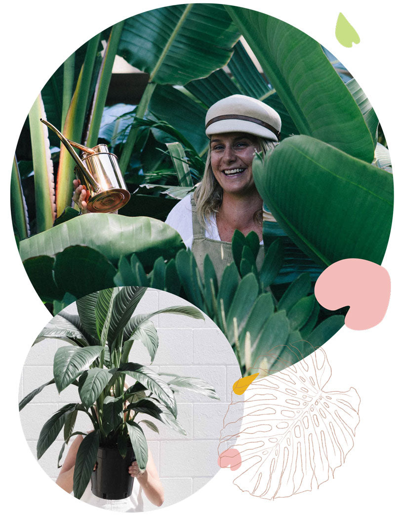 Emily Cloke, founder of Greenfolk Botany Shop