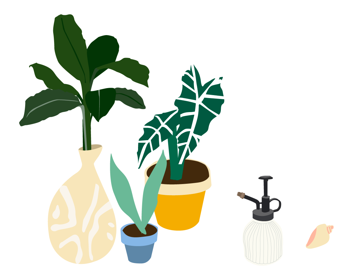 Keep plants away from air-convents and provide proper ventilation using windows and fans. Mist your indoor plants regularly. If air-con is in use, group plants together to create a more humid micro climate.