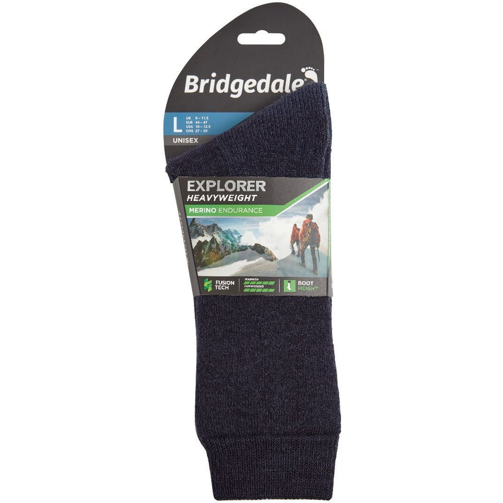 bridgedale explorer