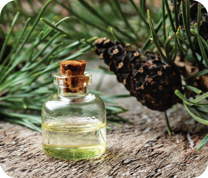 Pinene terpenes with small essential oil bottle.