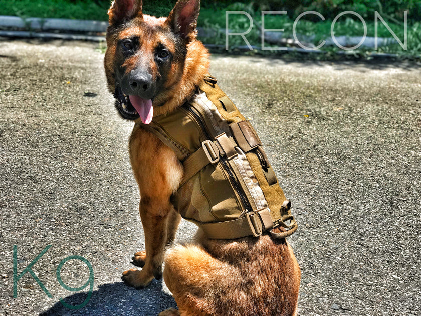 What To Consider When Ordering A K9 Dog Vest