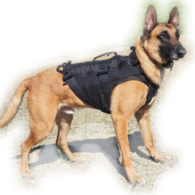 Military K9 Vests & Harness | Recon K9