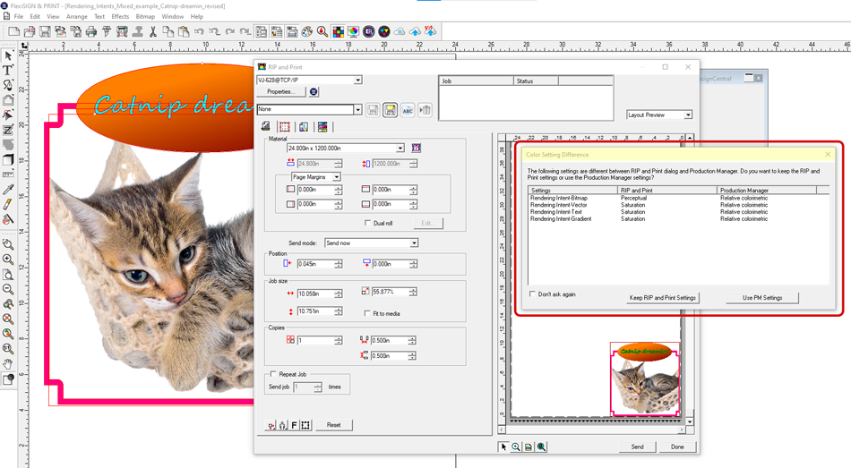 Flexi RIP & PRINT window showing rendering intents difference warning