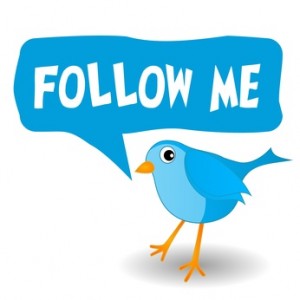 Follow Me Bird