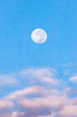 Volle maan die nog te zien is in laat daglicht, met daaronder rozige wolken.