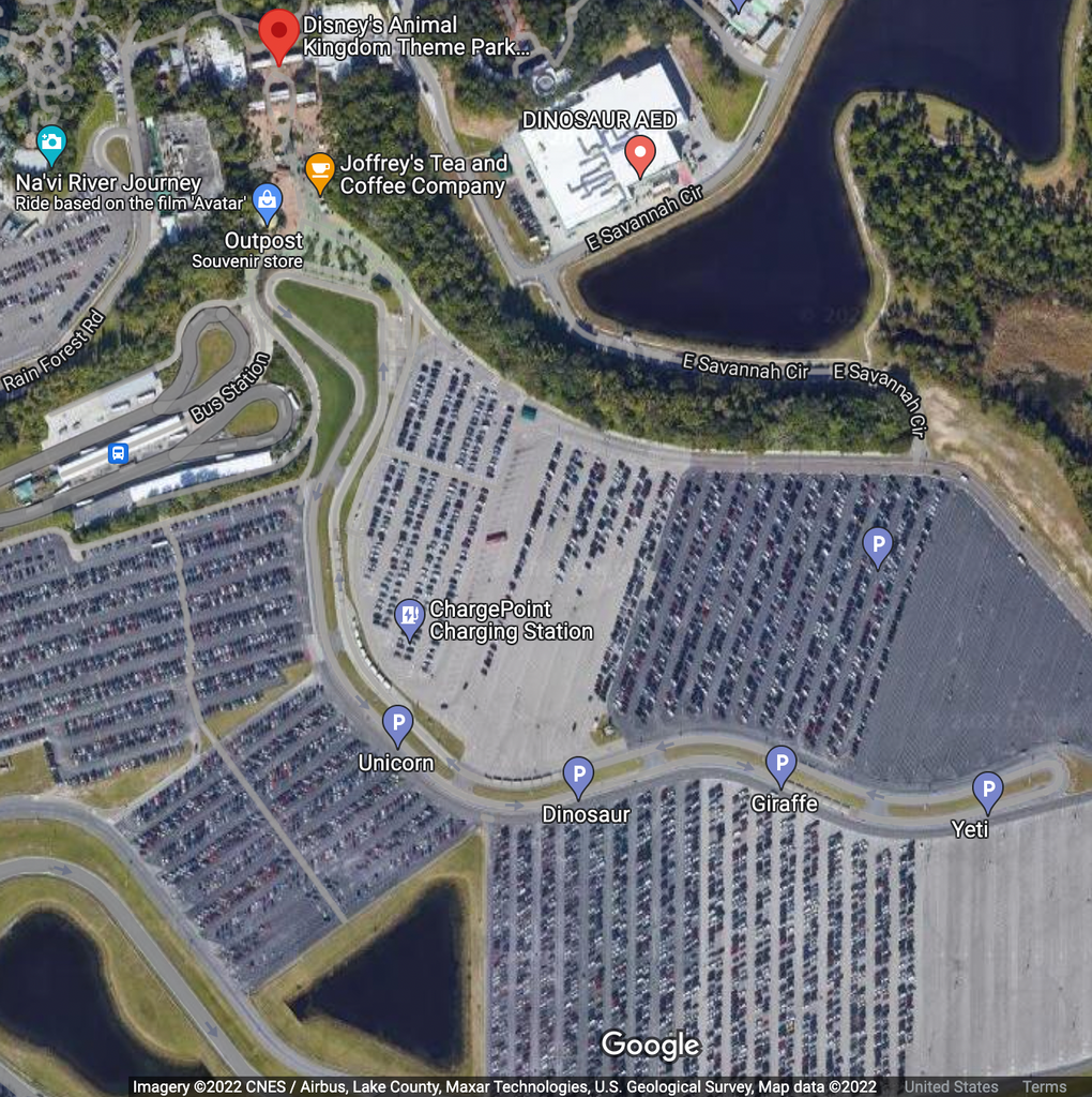 Animal Kingdom Parking Lot Overview