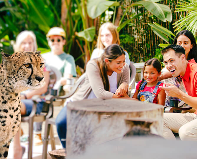 Family at the San Diego Zoo with Cheetah