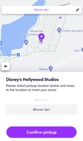 hollywood studios minnie van service