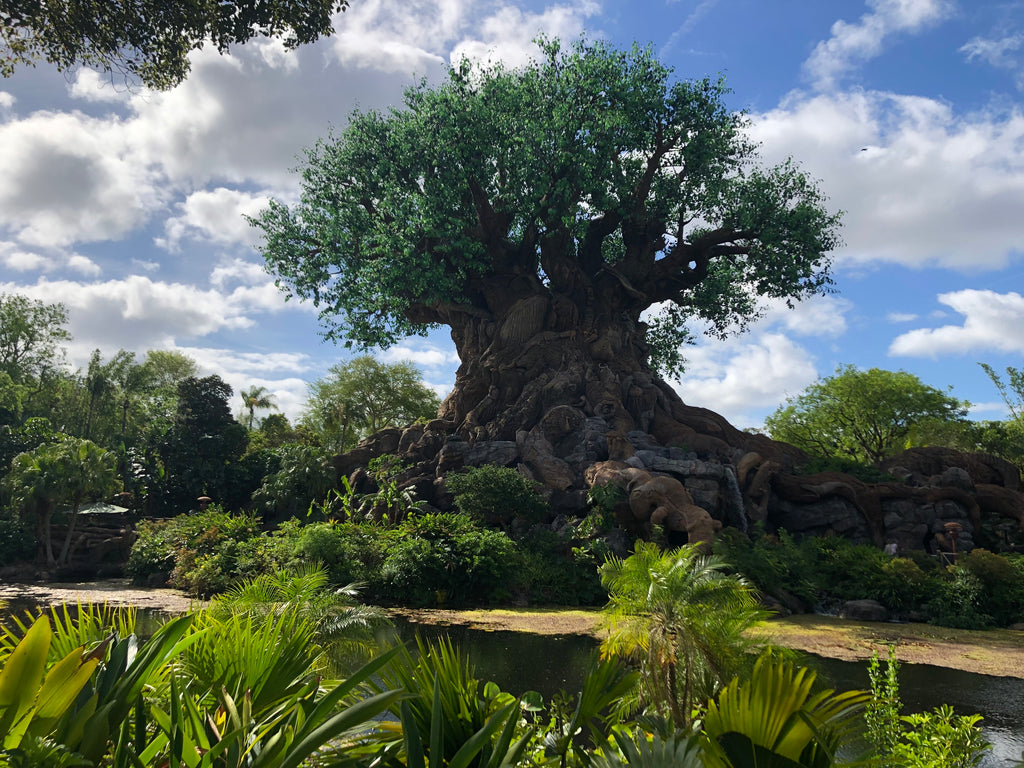 Tree of Life Animal Kingdom