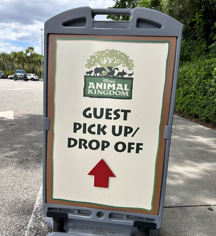 animal kingdom drop off location