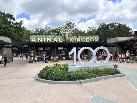 animal kingdom entrance