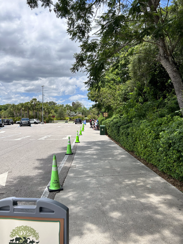 animal kingdom sidewalk for guest pick up and drop off