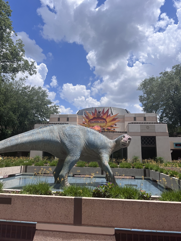 dinosaur ride animal kingdom