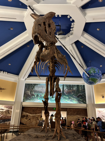 dinosaur skeleton at dinosaur ride