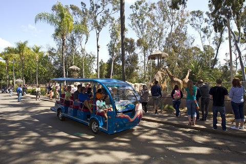 san diego zoo walking