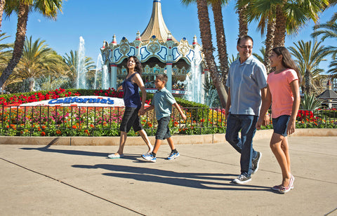 visitors walking at californias great america