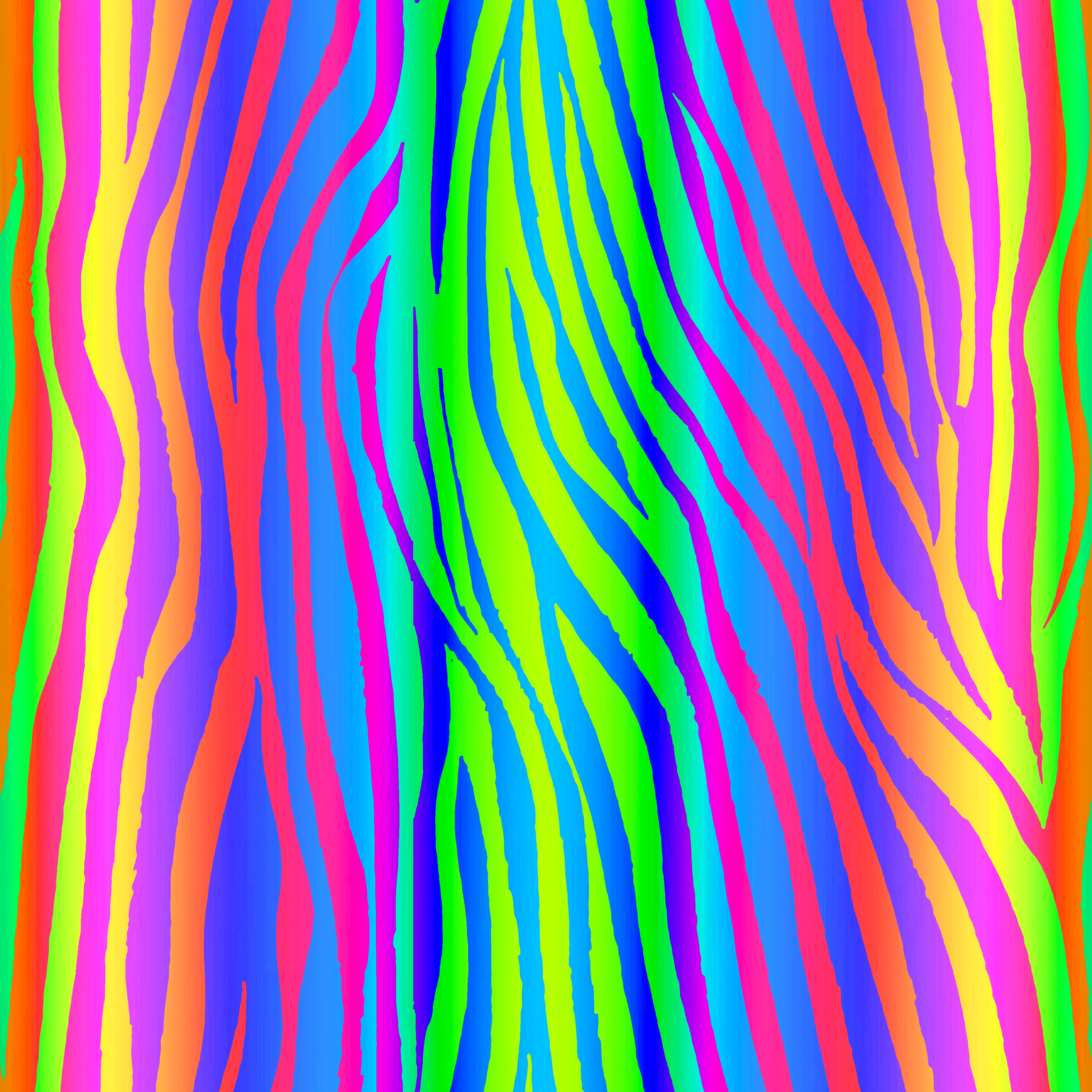 rainbow zebra stripes