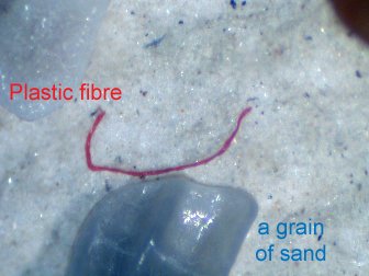 a plastic fibre compared to a grain of sand