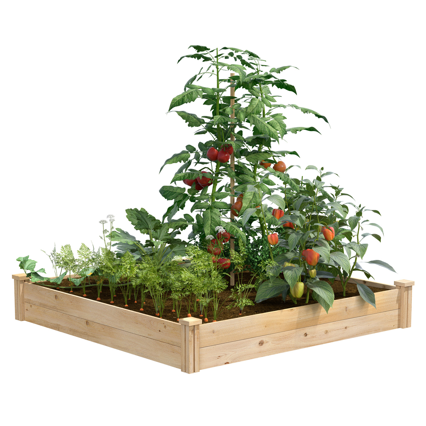 Best Value Cedar Raised Garden Bed Planter 48 W X 48 L X 7 H