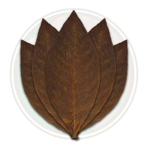 San Andrés wrapper leaf