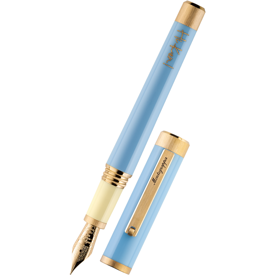 Montegrappa Harry Potter Hogwarts gold trim fountain pen: details and price