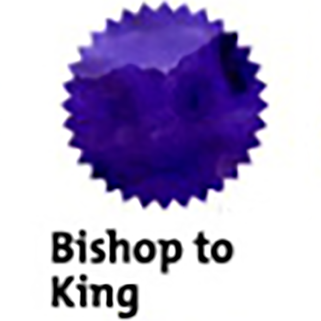 Robert Oster Signature Ink Bottle - Bishop to King - 50ml - Pen Boutique Ltd