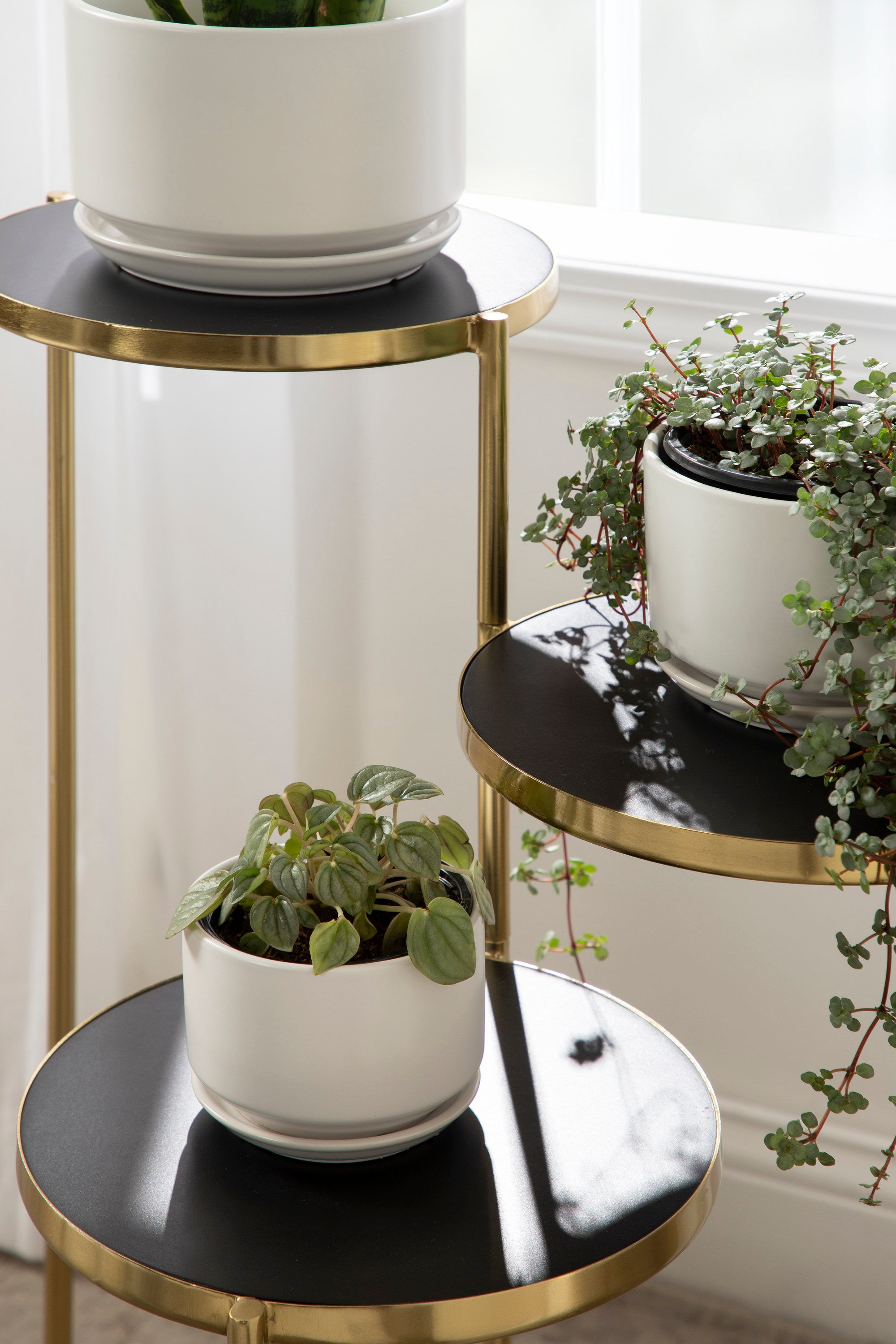 Kate And Laurel Fields Modern Tri Level Plant Stand White And Gold 10   Eat13wyny4dohpwvcu9x 