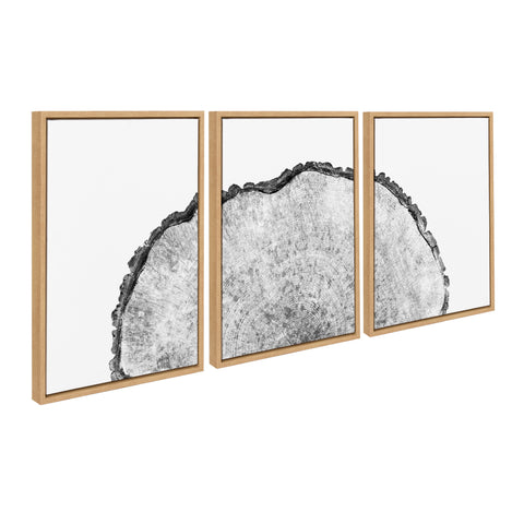 Sylvie Tree Rings Set Framed Canvas by Emiko and Mark Franzen of F2Images