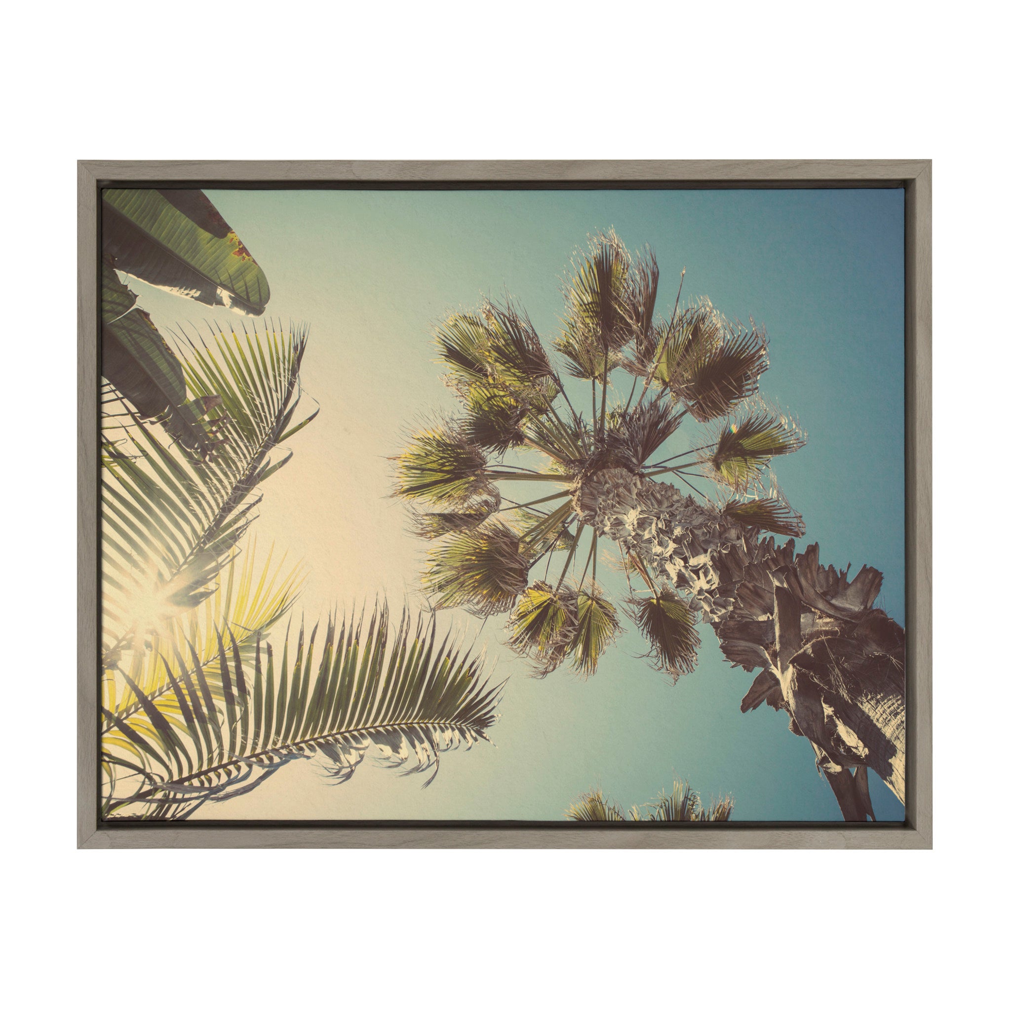 Sylvie Palm Tree Sunburst Framed Canvas by Shawn St. Peter